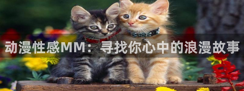 里番漫画排名：动漫性感MM：寻找你心中的浪漫故事