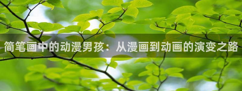 里番漫画免费观看：简笔画中的动漫男孩：从漫画到动画的演变之路