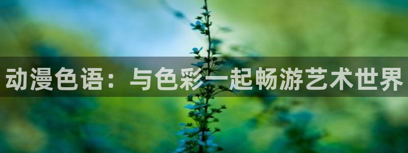 有哪些里番漫画：动漫色语：与色彩一起畅游艺术世界