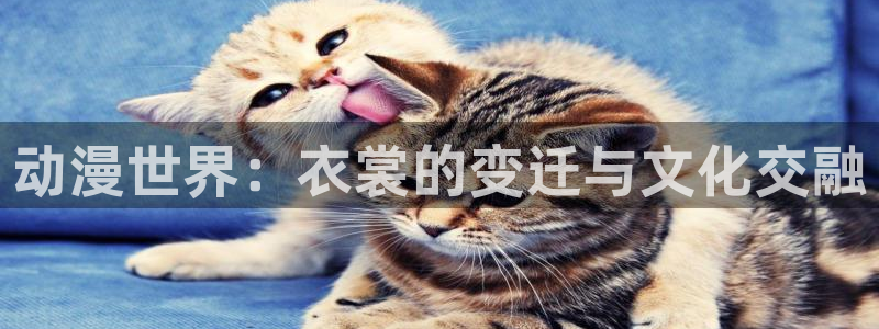 触手里番动漫：动漫世界：衣裳的变迁与文化交融