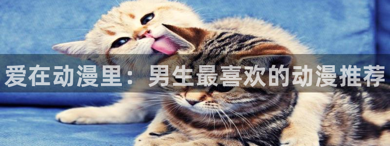 里番成人动漫：爱在动漫里：男生最喜欢的动漫推荐