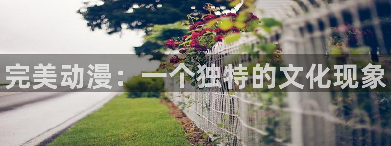 日本里番推荐：完美动漫：一个独特的文化现象