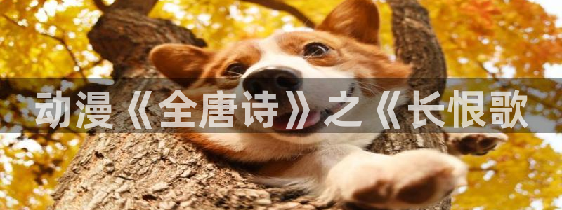 l里番动漫：动漫《全唐诗》之《长恨歌