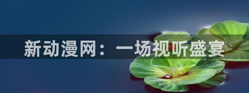 2016里番动漫种子：新动漫网：一场视听盛宴