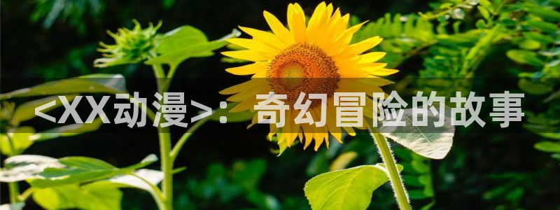 韩国里番动漫：<XX动漫>：奇幻冒险的故事