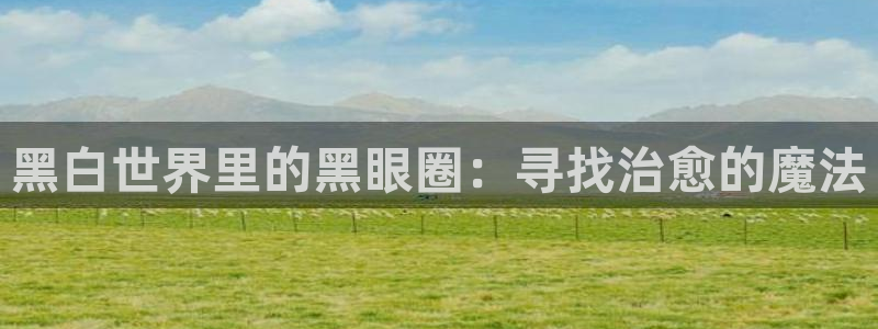 里番漫画全彩大全：黑白世界里的黑眼圈：寻找治愈的魔法