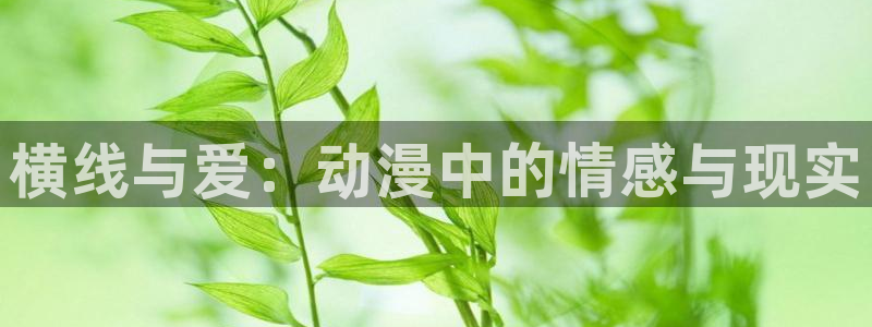 里番无限动漫：横线与爱：动漫中的情感与现实