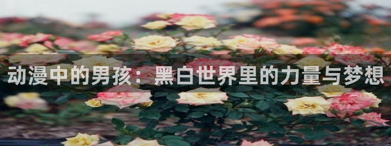 里番里番漫画：动漫中的男孩：黑白世界里的力量与梦想
