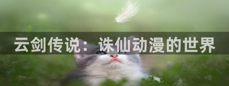 黑兽里番动漫：云剑传说：诛仙动漫的世界