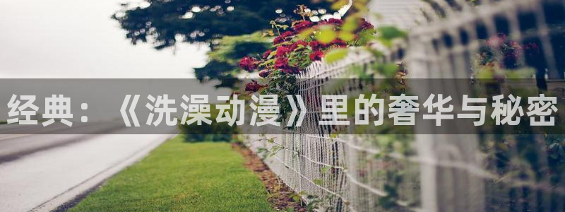 原神里番动漫：经典：《洗澡动漫》里的奢华与秘密
