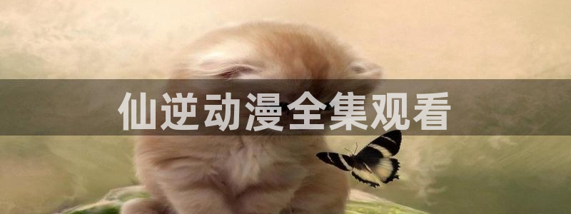 里番动漫黑兽：仙逆动漫全集观看