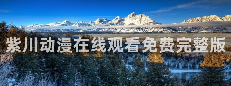 樱花动漫里番动漫：紫川动漫在线观看免费完整版