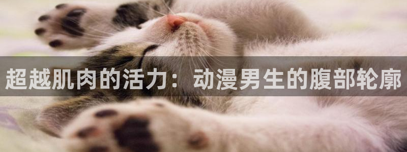 继母里番动漫：超越肌肉的活力：动漫男生的腹部轮廓