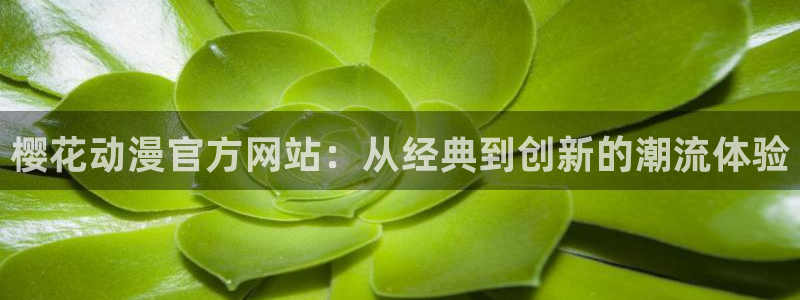 里番动漫在哪个软件：樱花动漫官方网站：从经典到创新的潮流体验