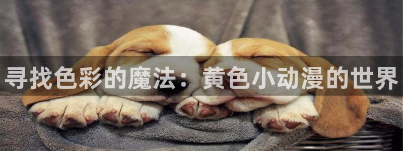 acg里番动漫网：寻找色彩的魔法：黄色小动漫的世界