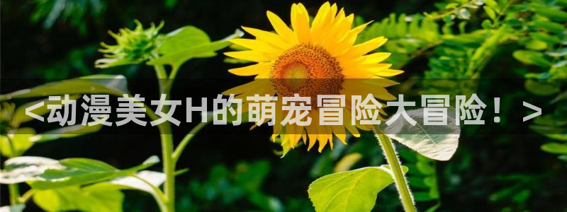里番acg日本漫画：<动漫美女H的萌宠冒险大冒险！>