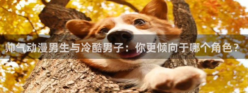 里番在线动漫：帅气动漫男生与冷酷男子：你更倾向于哪个角色？